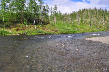 Dağ nehir Putorana plato üzerinde. 