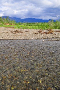 Dağ nehir Putorana plato üzerinde. 