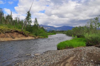 Dağ nehir Putorana plato üzerinde. 