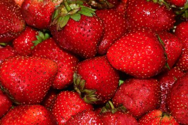 Olgun kırmızı çilekler. 