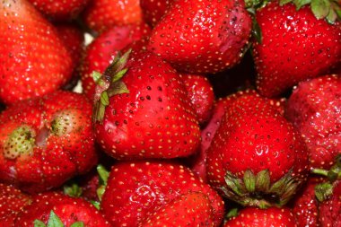 Olgun kırmızı çilekler. 