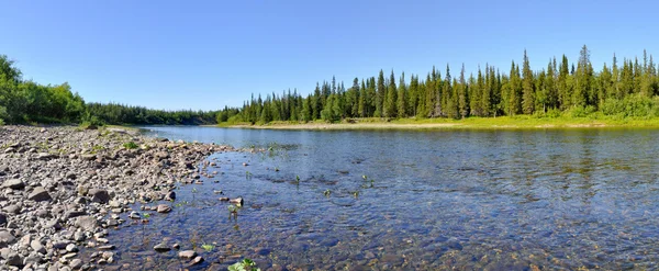 Panorama, rivière sauvage de l'Oural . — Photo