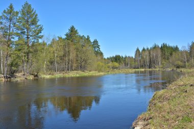 Orman Nehri üzerinde bahar.