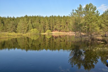 milli park alanında bahar. 