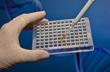 Laboratuvarda iyi plaka.