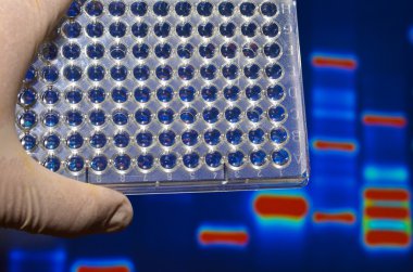 Laboratuvarda iyi plaka.