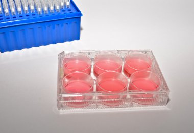 Biyolojik araştırma hücre teknolojileri.