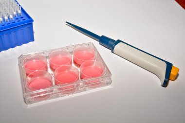 Biyolojik araştırma hücre teknolojileri.