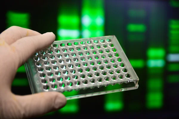 Placa de pozo en el laboratorio . — Foto de Stock