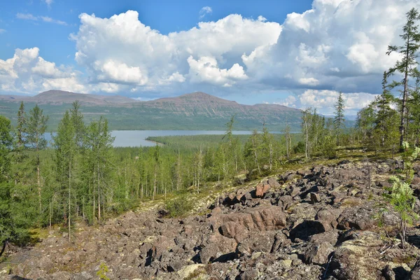 Bergtaiga auf dem Putorana-Plateau. — Stockfoto