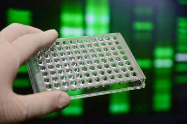 Laboratuvarda iyi plaka.