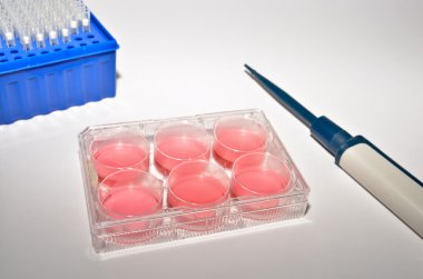 Biyolojik araştırma hücre teknolojileri.