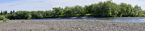 Paysage fluvial panoramique dans l'Oural polaire . — Photo