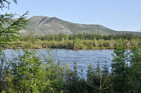 Landscape with the river and the mountains. — Stock Photo, Image