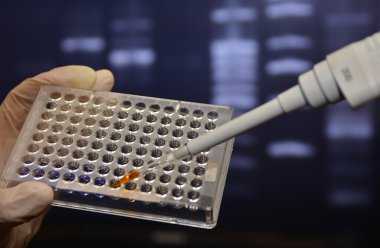 Dna testi laboratuvarda. 