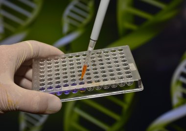 Dna testi laboratuvarda. 