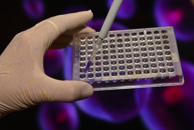 Dna testi laboratuvarda. 