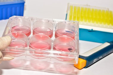 Hücresel teknolojiyi kullanan bilimsel Biyolojik araştırma. 