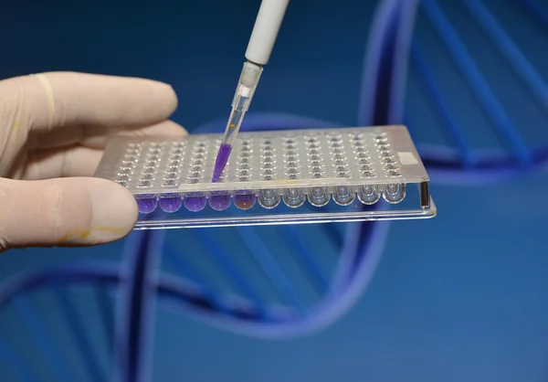 Ensaio de ADN no laboratório . — Fotografia de Stock
