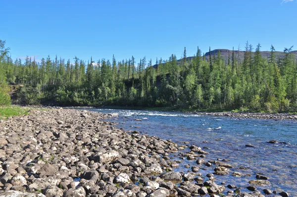 Hızlı Nehri üzerinde Putorana Yaylası. — Stok fotoğraf