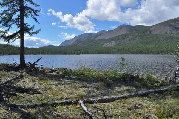 Paisagem com um lago e montanhas ao longo das margens . — Fotografia de Stock