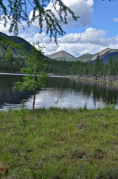 Landscape with a lake and mountains along the banks. — Stock Photo, Image