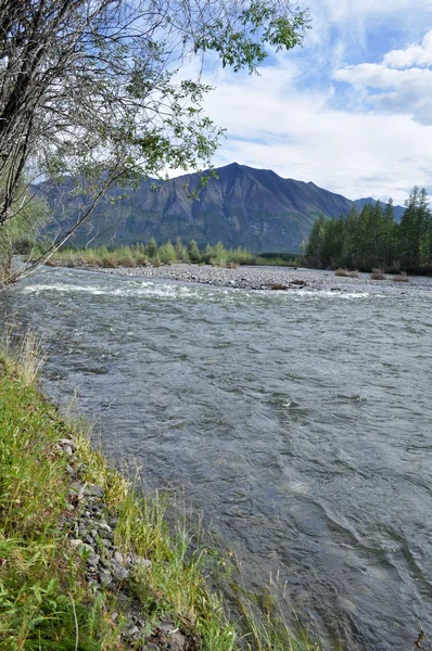 Berg rivier. Rusland, Yakutia. — Stockfoto