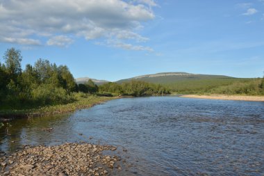 Ural Nehri Shchugor.