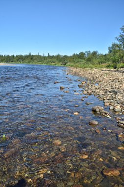 Ural Nehri Shchugor.