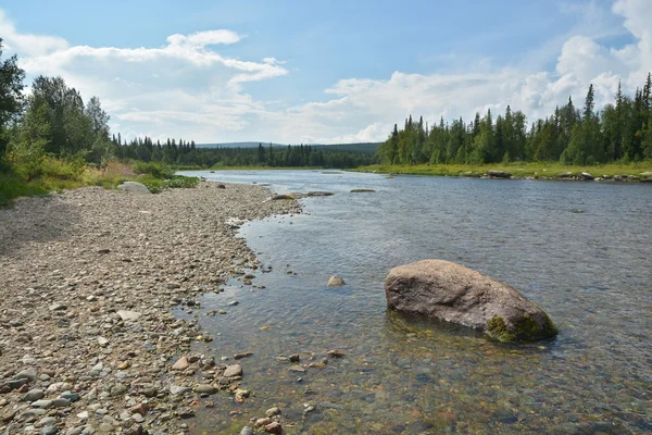 Der Nationalpark "yugyd va". der Fluss shchugor. — Stockfoto