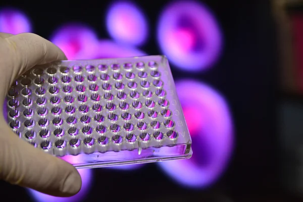 Tecnologías celulares en investigación de laboratorio . — Foto de Stock