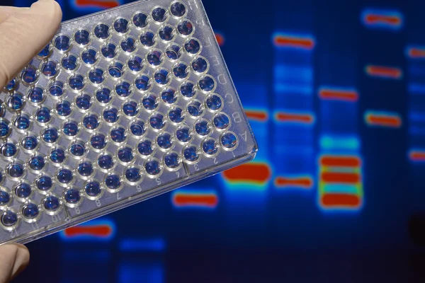 Ensaios de ADN em laboratórios genéticos . — Fotografia de Stock