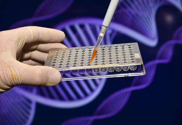 Dna genetik laboratuvarlarda test. 