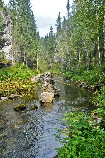 Rivière dans une gorge rocheuse . — Photo