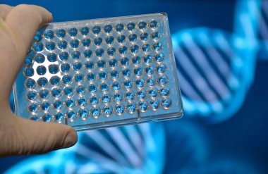 Dna genetik laboratuvarlarda test. 
