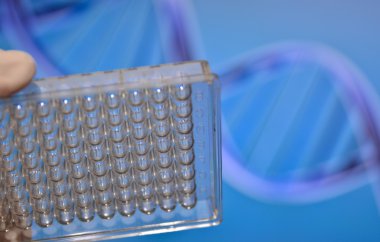 Dna genetik laboratuvarlarda test. 