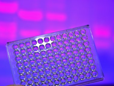 Dna genetik laboratuvarlarda test. 