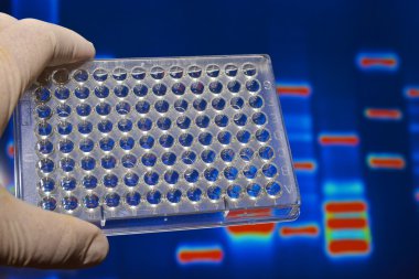 Dna genetik laboratuvarlarda test. 