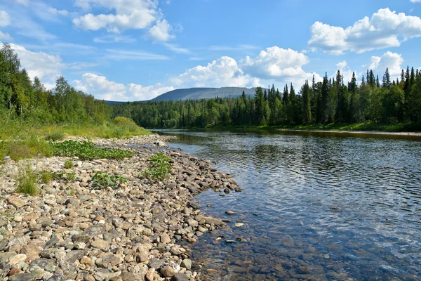 Rivière Shchugor dans le parc national Yugyd VA . — Photo