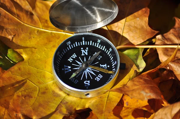 Boussole dans les feuilles tombées . — Photo