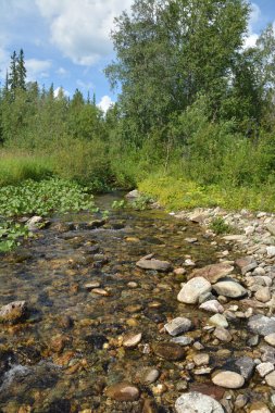 Orman akarsu Milli Parkı Yugyd VA. 
