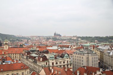 kırmızı tuğla çatılar Prag.