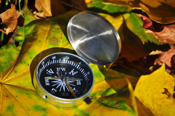 Compass in fallen leaves. — Stock Photo, Image