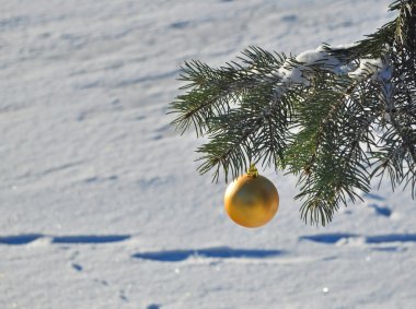 Noel ağacının dalını altın topla.