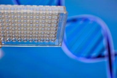 Tıbbi bilim laboratuvar testlerinde. 