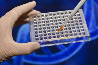 Tıbbi bilim laboratuvar testlerinde. 