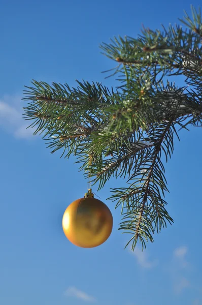 La palla d'oro su un ramo dell'albero di Natale . — Foto Stock