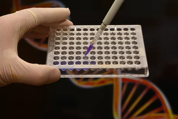 Pruebas en el laboratorio de ciencias médicas . — Foto de Stock