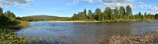 Milli Parkı Tayga Nehri Panoraması. — Stok fotoğraf