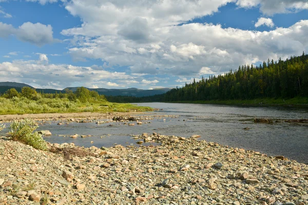 Rivière paysage d'été . — Photo